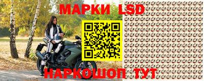 прущие крисы Новозыбков