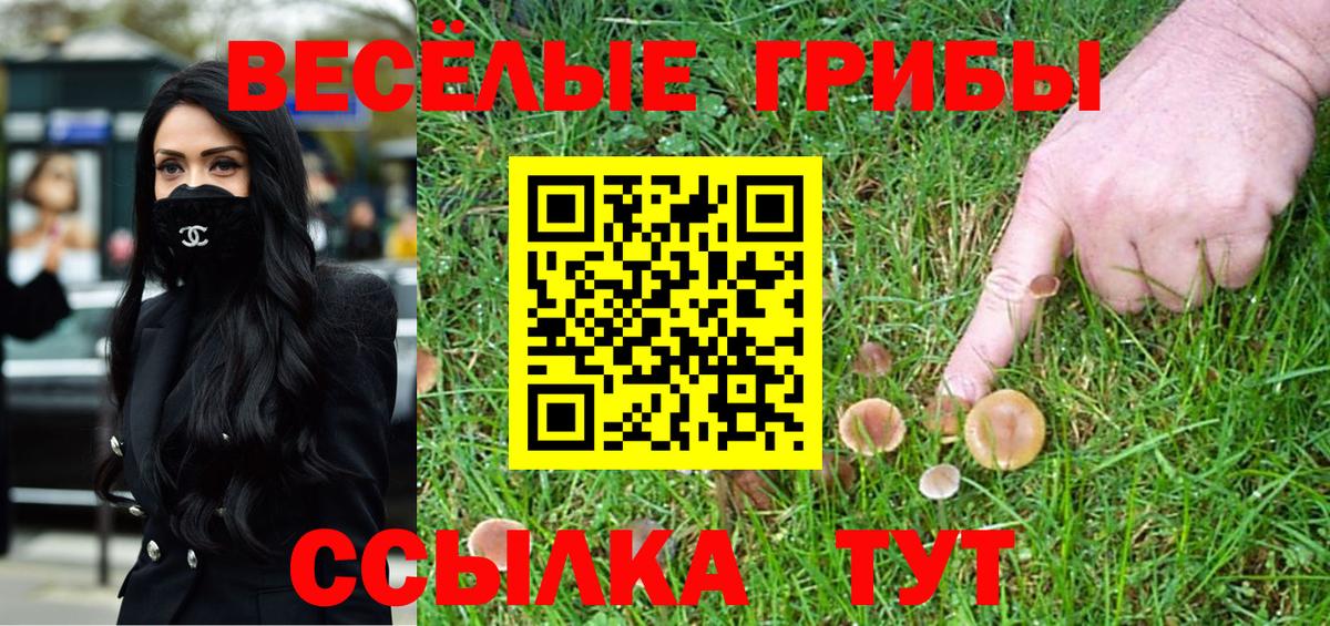 Псилоцибиновые грибы GOLDEN TEACHER Альметьевск