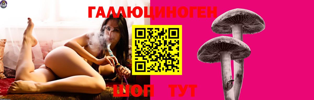 Галлюциногенные грибы прущие грибы  Вход с VPN  Альметьевск  где можно купить   Псилоцибиновые грибы мухоморы 
